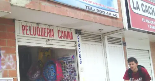 DOG TOR VET BOGOTÁ DOG TOR VET BOGOTÁ